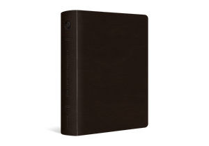 ESV Single Column Journaling Bible, Large Print (Trutone, Deep Brown)