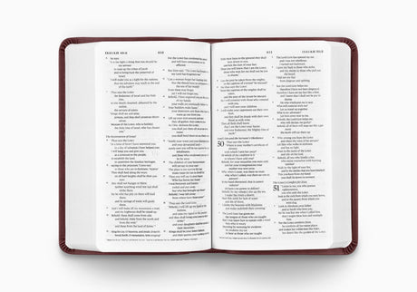 ESV Value Compact Bible (TruTone, Mahogany, Border Design)