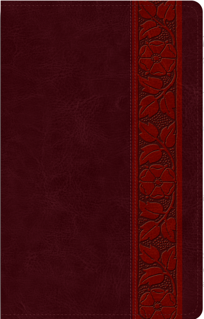 ESV Large Print Personal Size Bible (Trutone, Mahogany, Trellis Design) - English Standard - 9781433588501