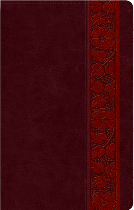 ESV Large Print Personal Size Bible (Trutone, Mahogany, Trellis Design) - English Standard - 9781433588501