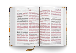 ESV Large Print Compact Bible (Hardcover, Spring Bloom)