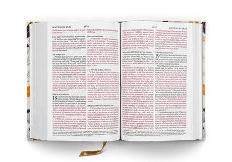 ESV Large Print Compact Bible (Hardcover, Spring Bloom)