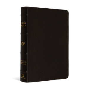 ESV Large Print Compact Bible (Buffalo Leather, Deep Brown) - English Standard Version - 9781433572012