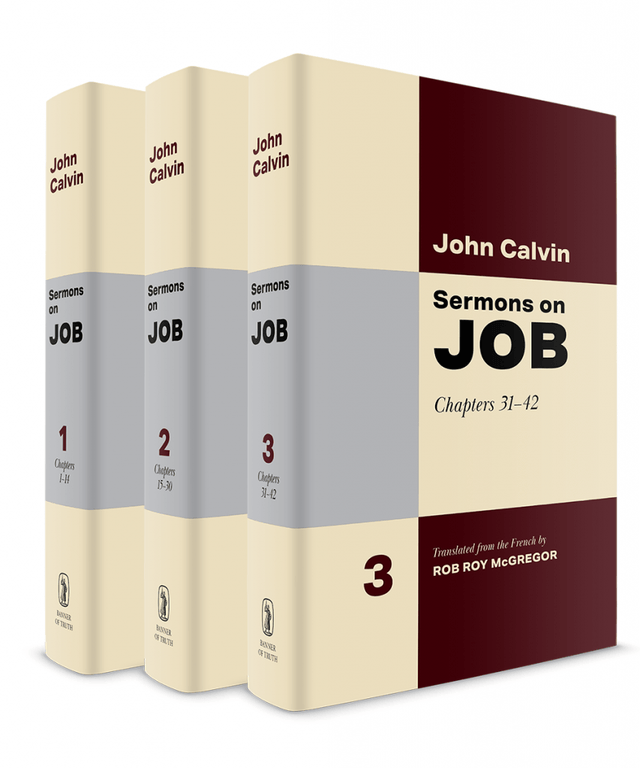 Sermons on Job - John Calvin - 9781800402232