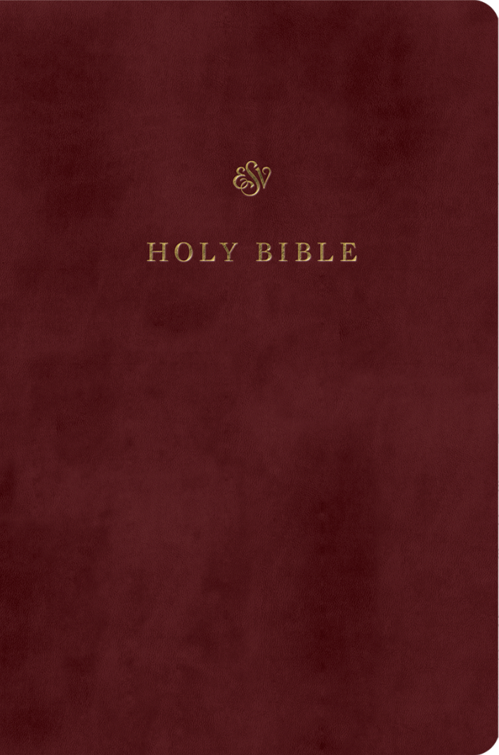 ESV Gift and Award Bible (Trutone, Burgundy) - English Standard - 9781433590283