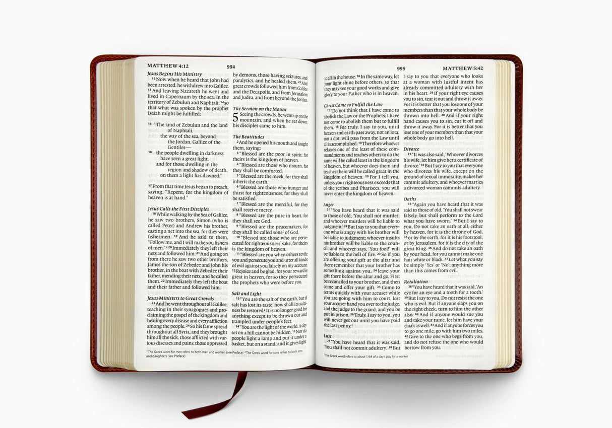 ESV Large Print Thinline Bible (Trutone, Burgundy/Red, Timeless Design)