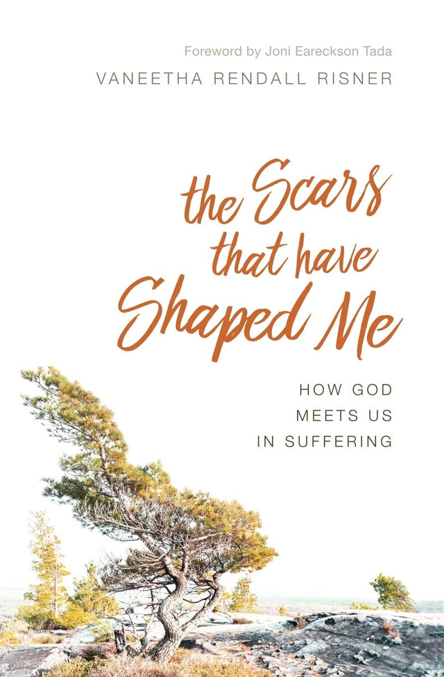 The Scars That Have Shaped Me: How God Meets Us in Suffering - Risner, Vaneetha Rendall - 9781941114292