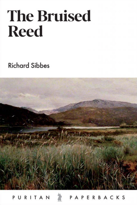 The Bruised Reed (Puritan Paperbacks) - Sibbes, Richard - 9781848718036