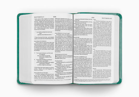 ESV Value Large Print Compact Bible (TruTone, Teal, Ornament Design) (1023800180783)