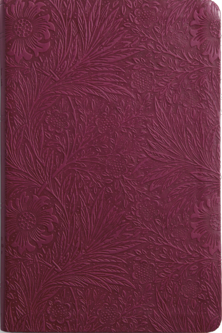 ESV Value Thinline Bible (Trutone, Raspberry, Floral Design) - English Standard - 9781433589621