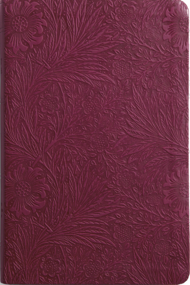 ESV Value Thinline Bible (Trutone, Raspberry, Floral Design) - English Standard - 9781433589621