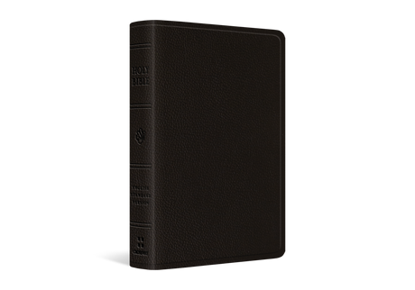 ESV Pocket Bible - Buffalo Leather, Deep Brown - English Standard Version - 9781433568855