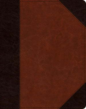 ESV Single Column Journaling Bible (TruTone, Brown/Cordovan, Portfolio Design)