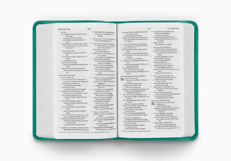 ESV Value Compact Bible (TruTone, Turquoise, Emblem Design)