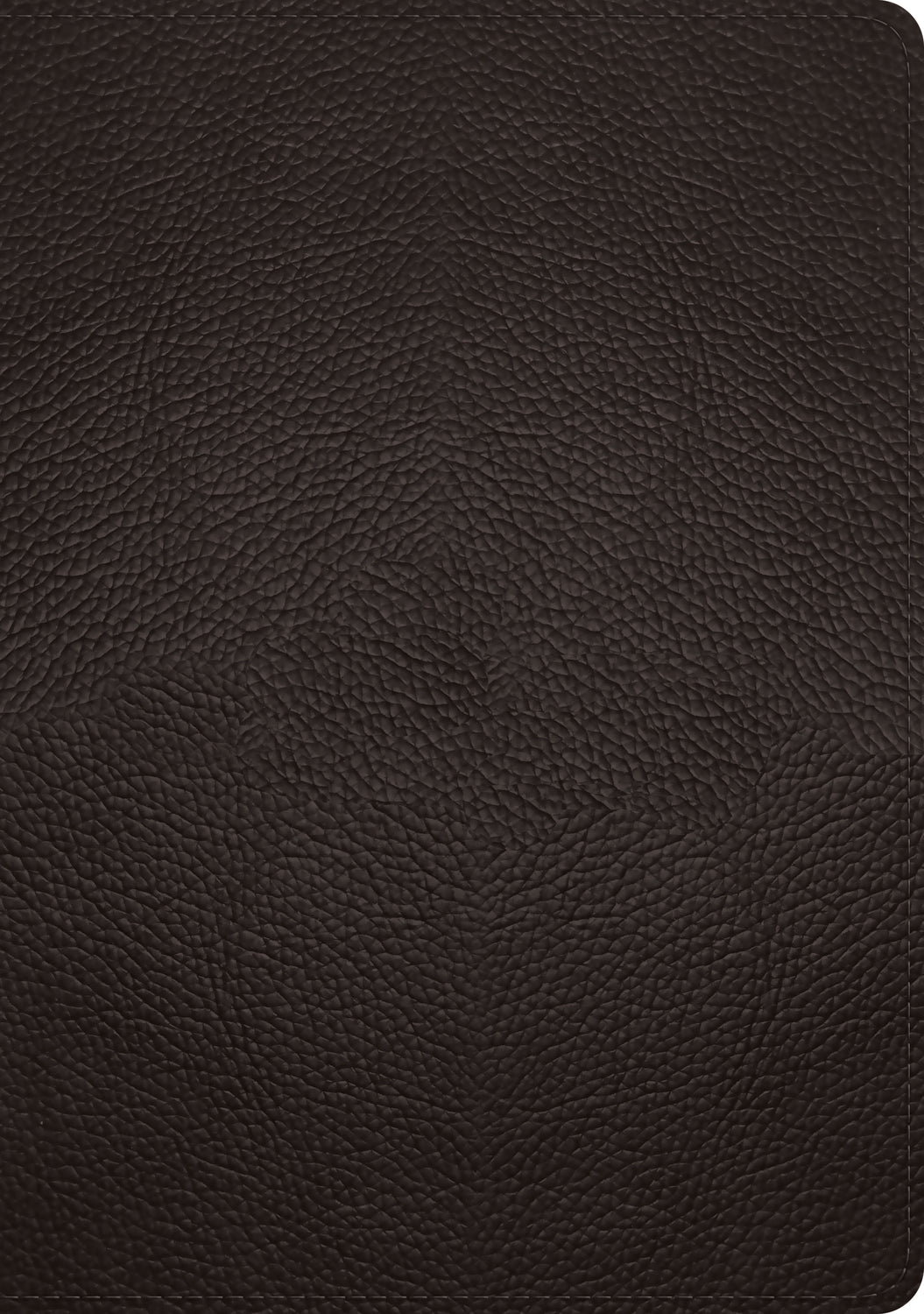 ESV Single Column Journaling Bible, Large Print (Buffalo Leather, Deep Brown) - English Standard Version - 9781433570919