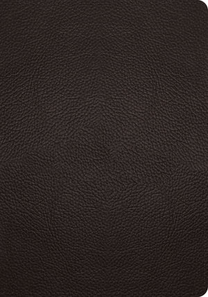 ESV Single Column Journaling Bible, Large Print (Buffalo Leather, Deep Brown) - English Standard Version - 9781433570919